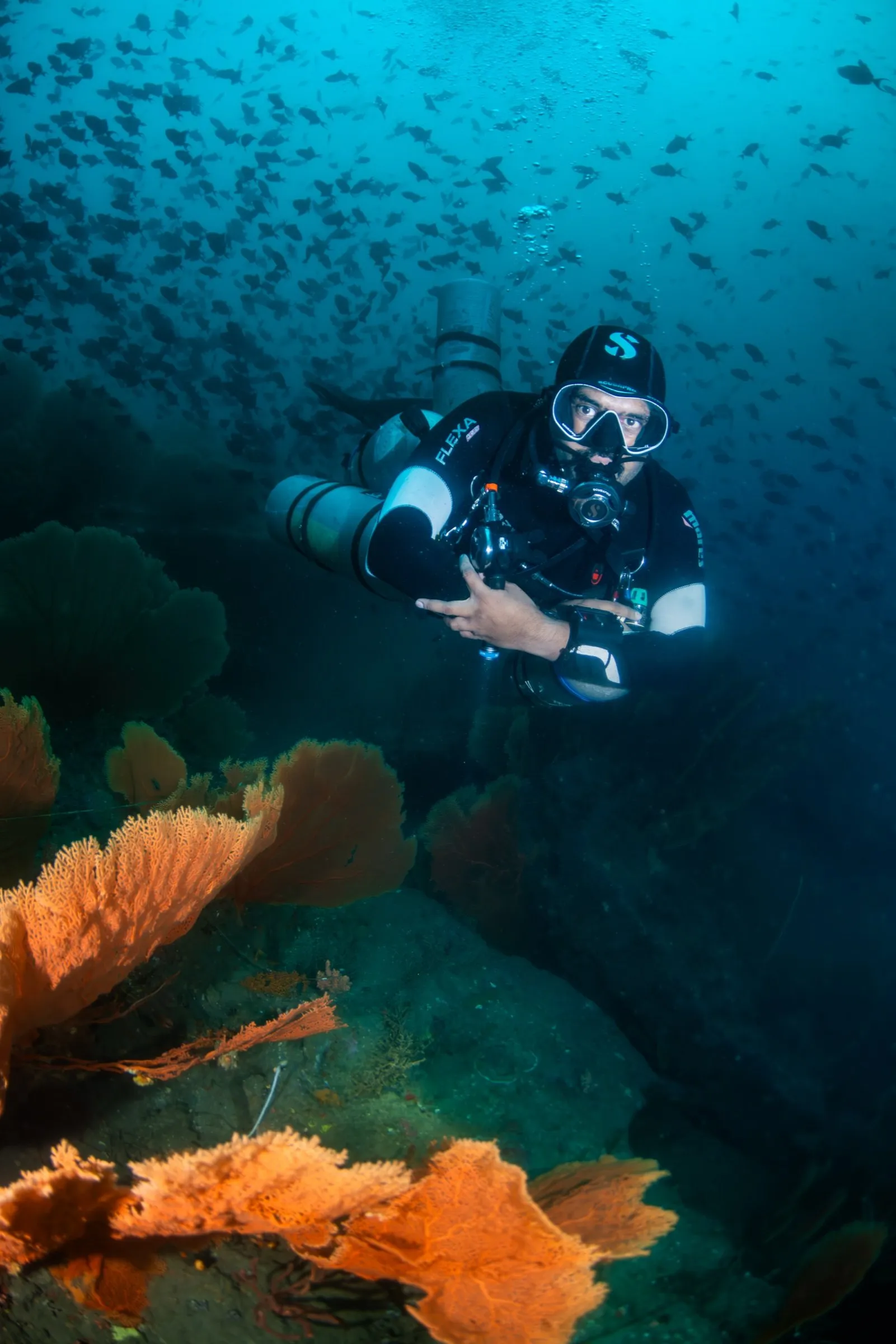 Technical diver in sidemount configuration beside orange gorgonian sea fans on a reef wall, schooling fish overhead