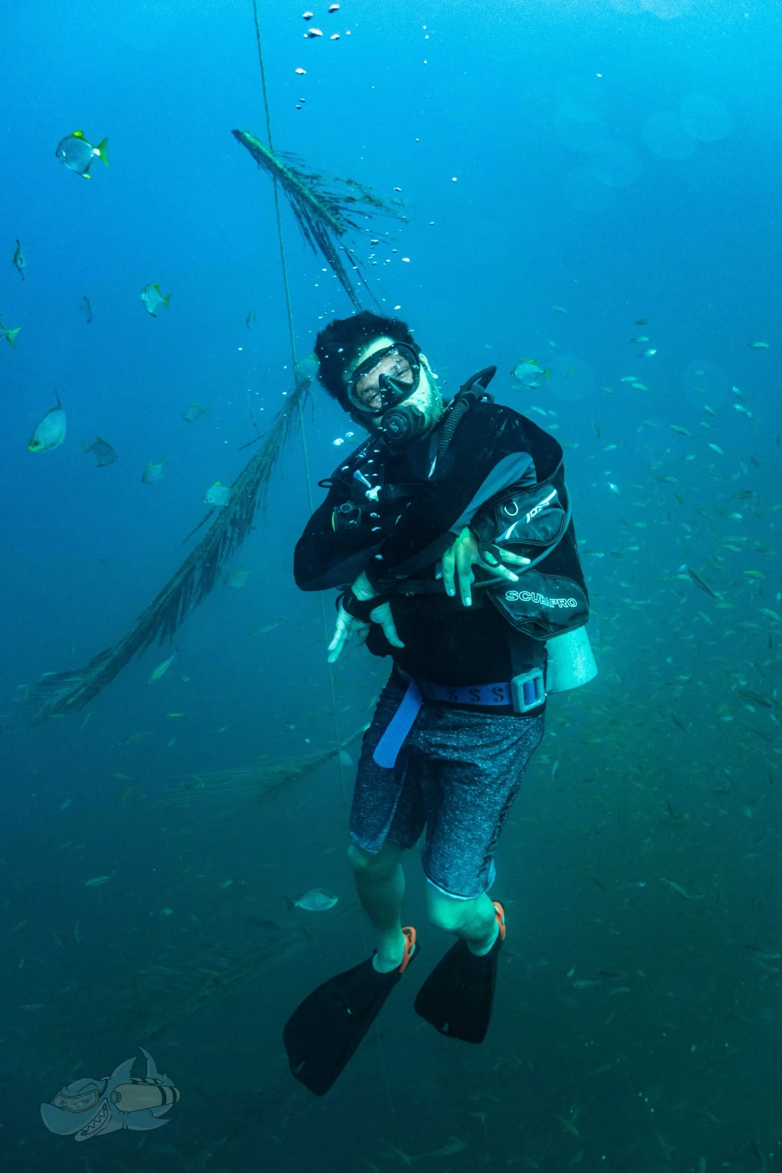 Diver hovering mid-water beside a descent line among schooling fish