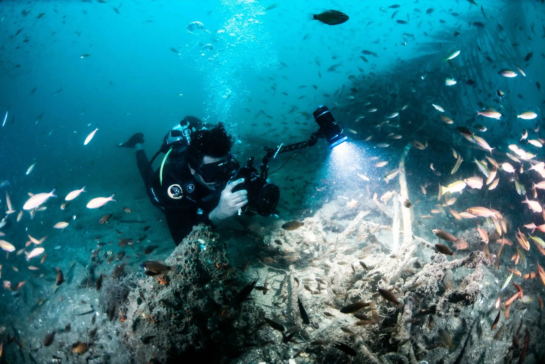 Underwater photographer aiming a housed camera and strobe at a reef swarming with fish