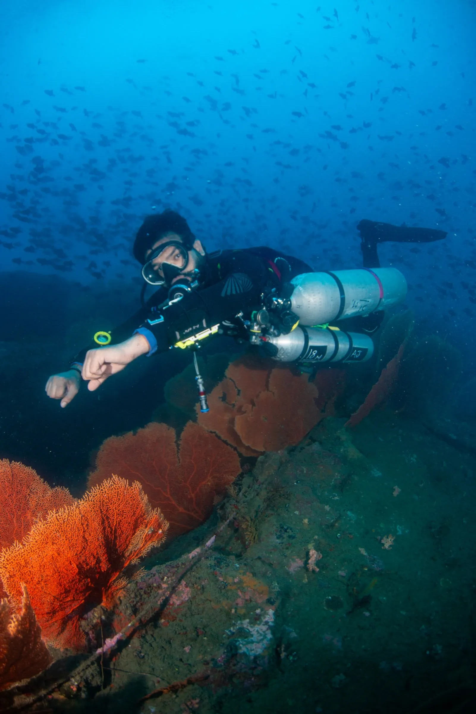 Technical diver in sidemount configuration hovering in trim above a large orange sea fan on a reef