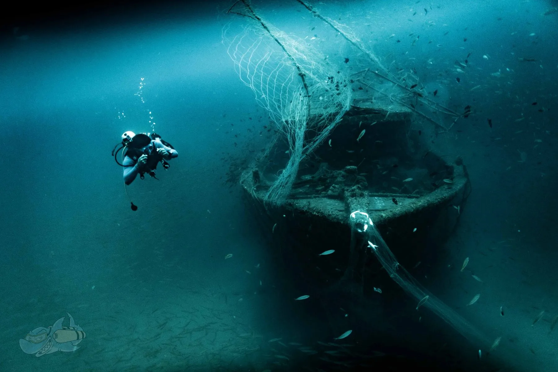Diver hovering in open water beside a net-draped wreck bow surrounded by fish