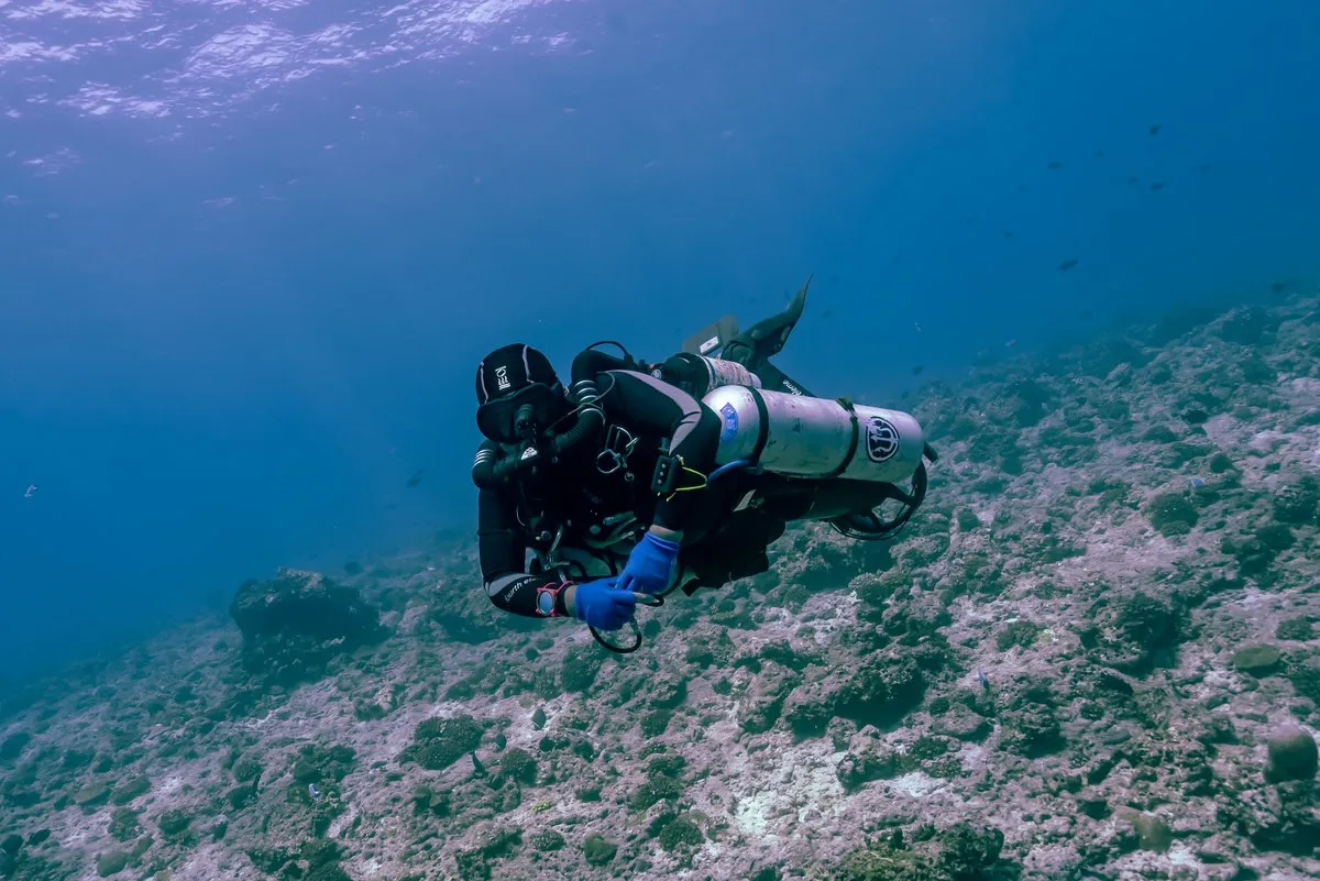 A diver on a KISS Sidewinder sidemount closed-circuit rebreather hovering over a coral reef, side-mounted cylinders and breathing loop visible, no exhaust bubbles