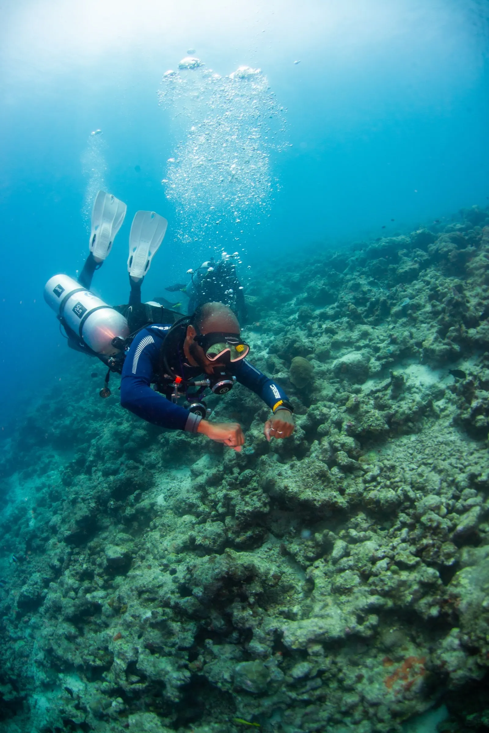 Sidemount diver in horizontal trim above a coral reef, single cylinder tucked along the side, bubbles rising overhead