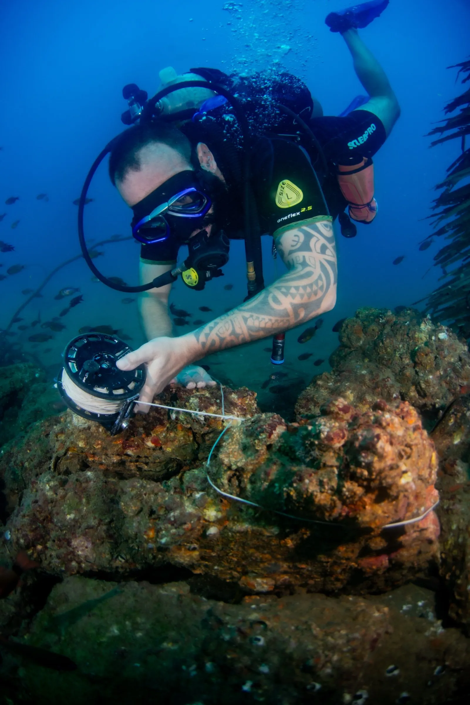 Student tying off a primary reel to an encrusted boulder on the seabed