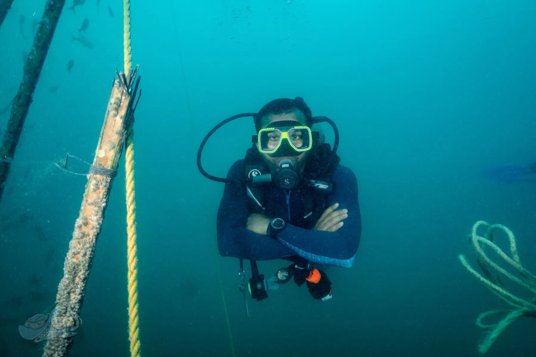 Diver hovering with arms crossed beside a vertical mooring line, looking up