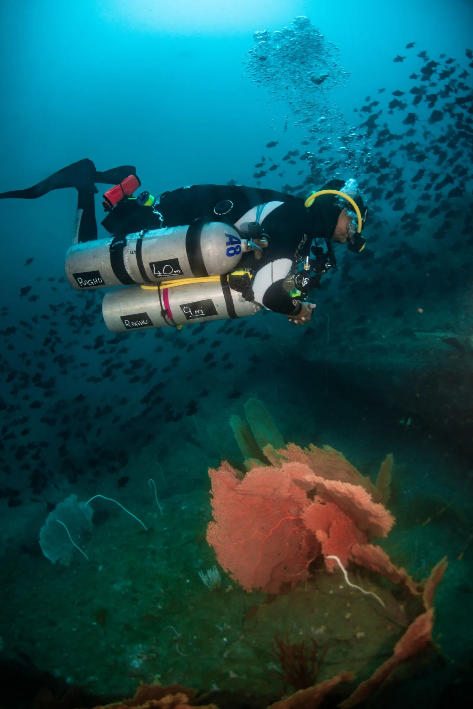 Sidemount technical diver over a deep reef carrying depth-labelled stage cylinders above a red gorgonian sea fan and schooling fish