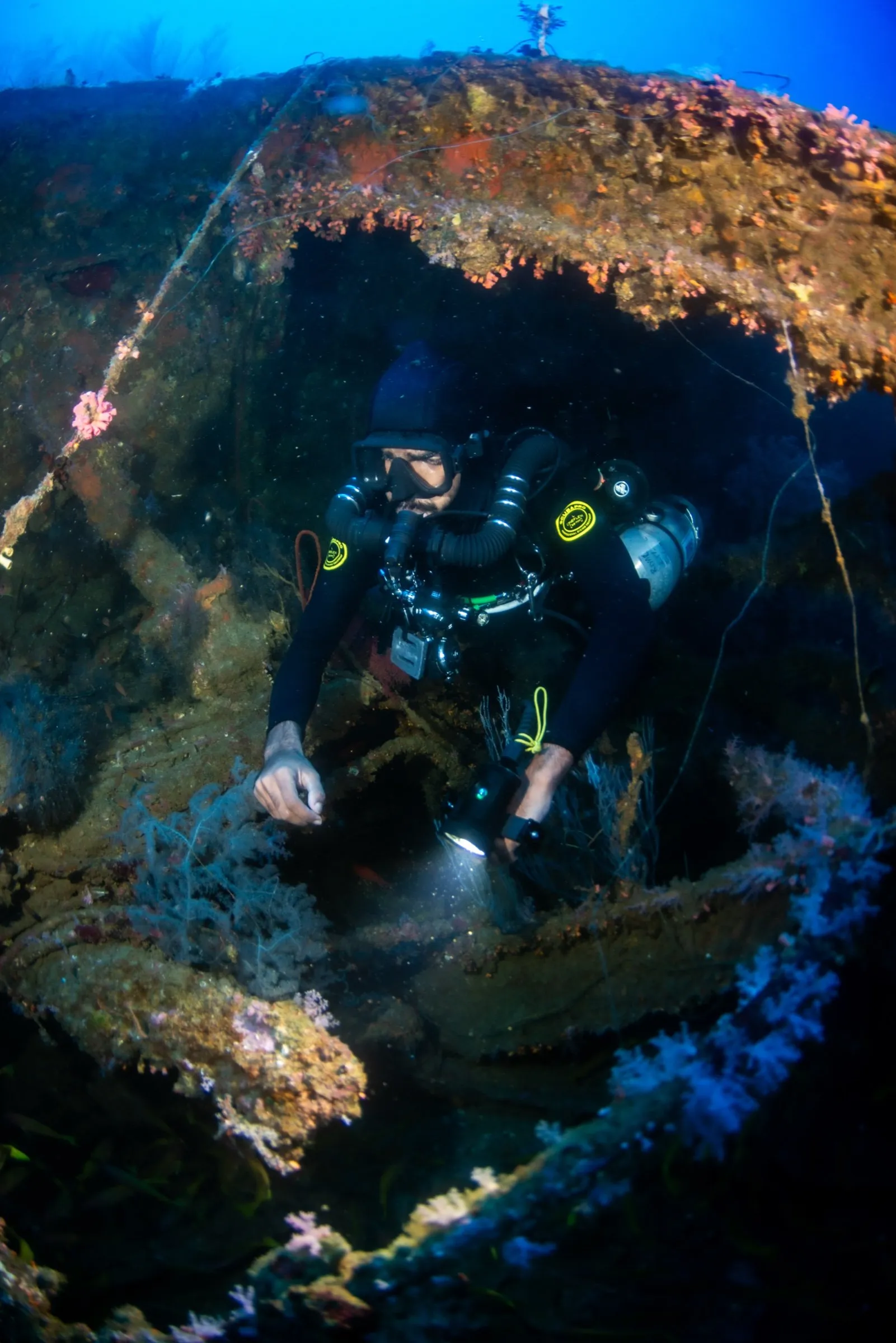 Diver with twin cylinders and torch framed in a coral-encrusted wreck opening