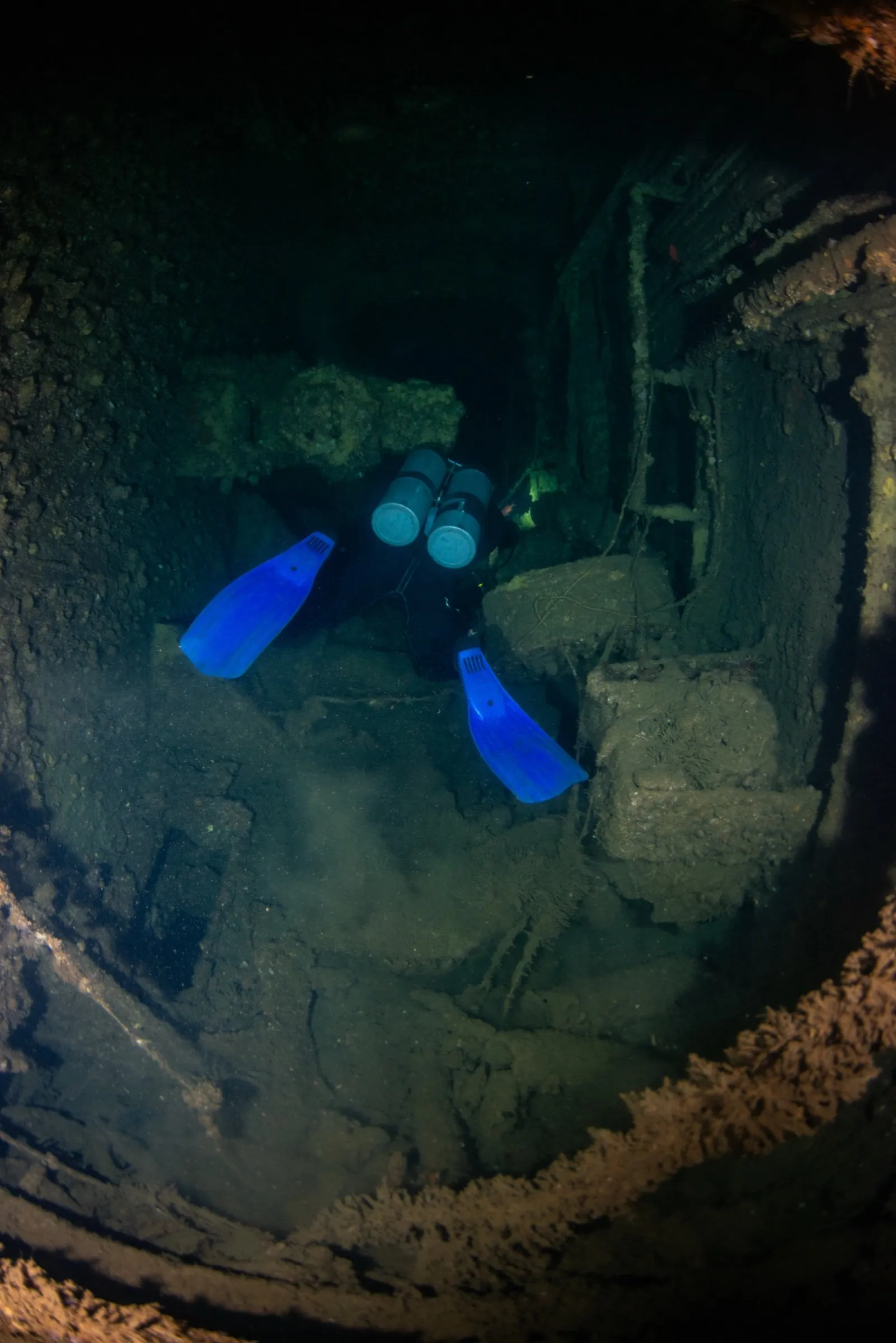 Diver in a twinset with blue fins finning into a dark encrusted wreck interior