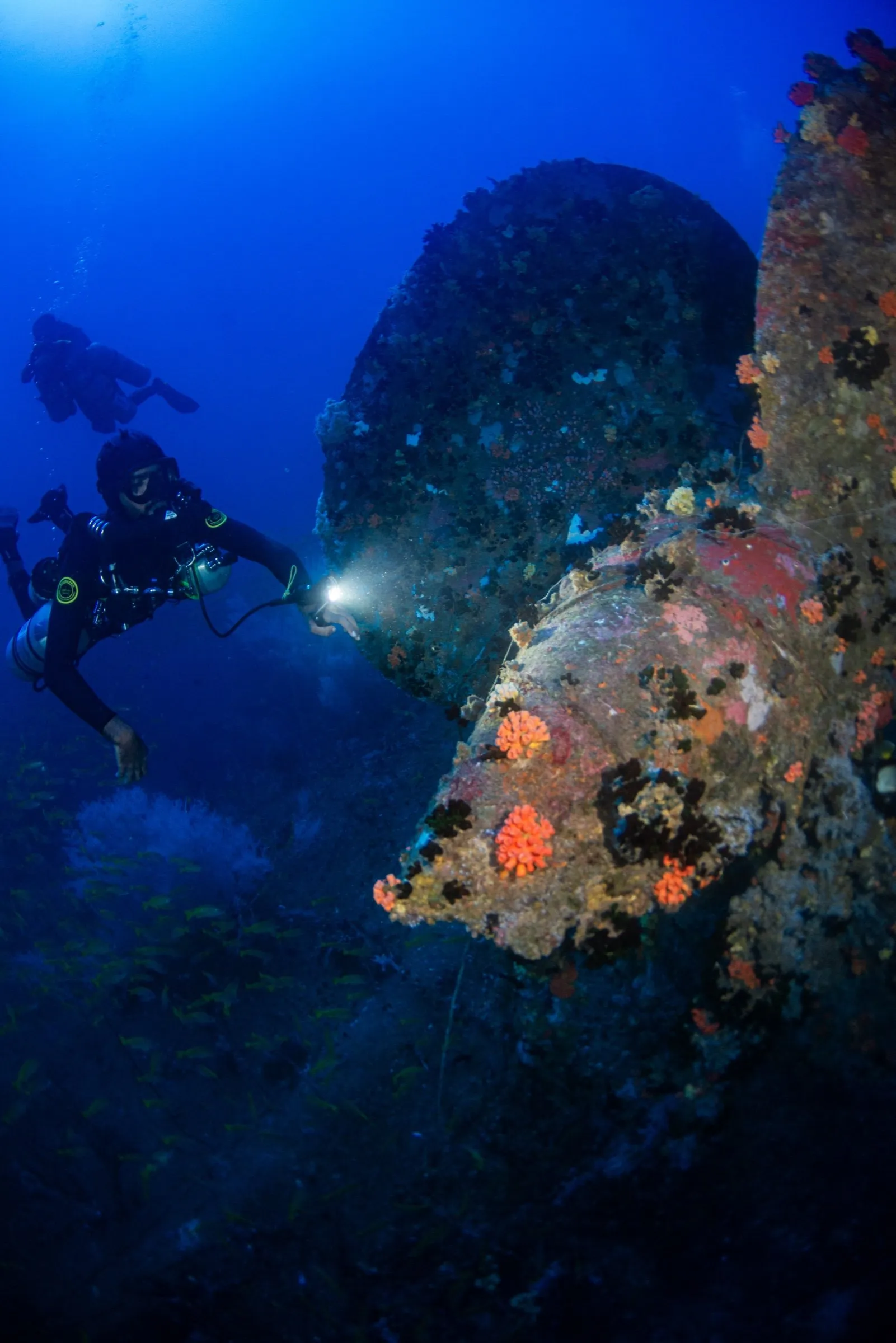 Diver lighting a massive coral-encrusted propeller with vivid orange soft coral