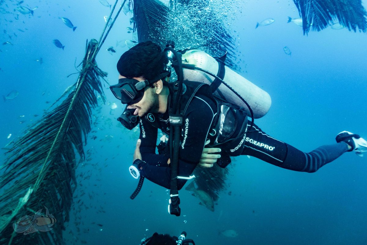 Diver hovering close to a growth-covered wreck structure surrounded by small fish
