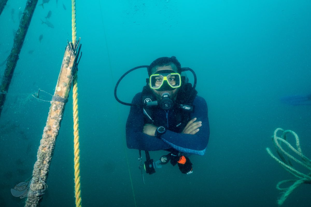 Diver hovering with arms crossed beside a vertical mooring line, looking up