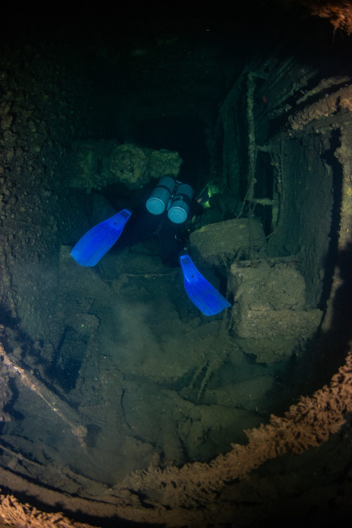 Diver in a twinset with blue fins finning into a dark encrusted wreck interior