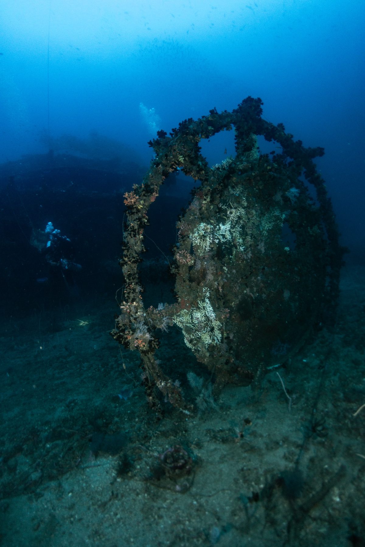 Coral-encrusted circular wreck structure on a sandy bottom with a diver beyond