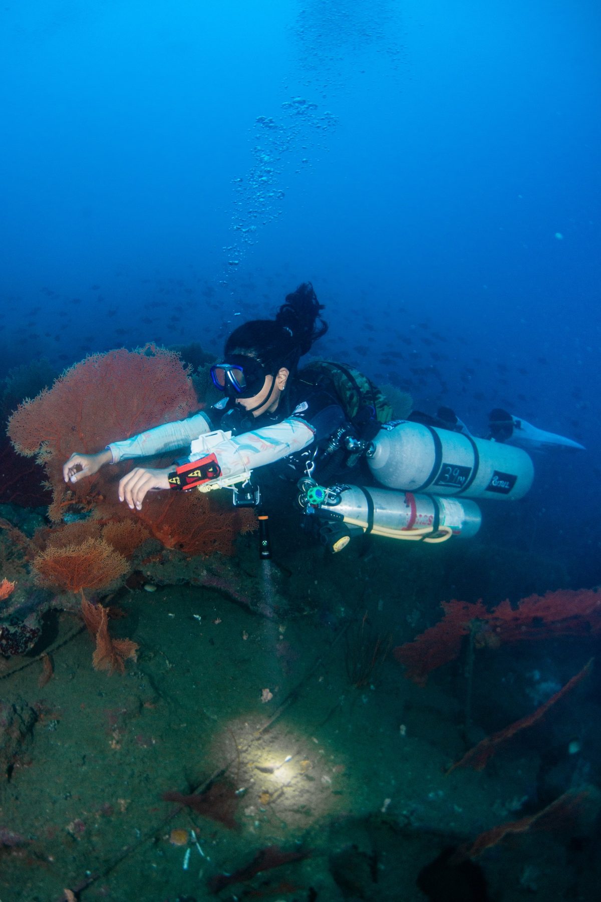 Sidemount diver with two side-mounted cylinders and wrist computers, in flat trim along a deep reef