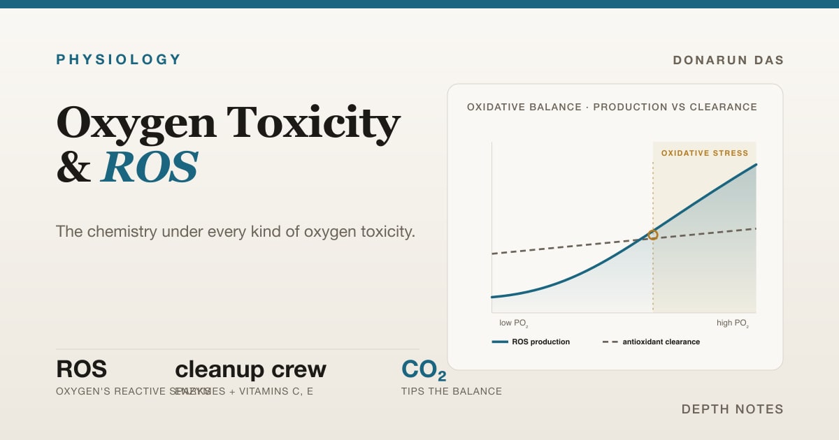Oxygen Toxicity & ROS | Donarun Das
